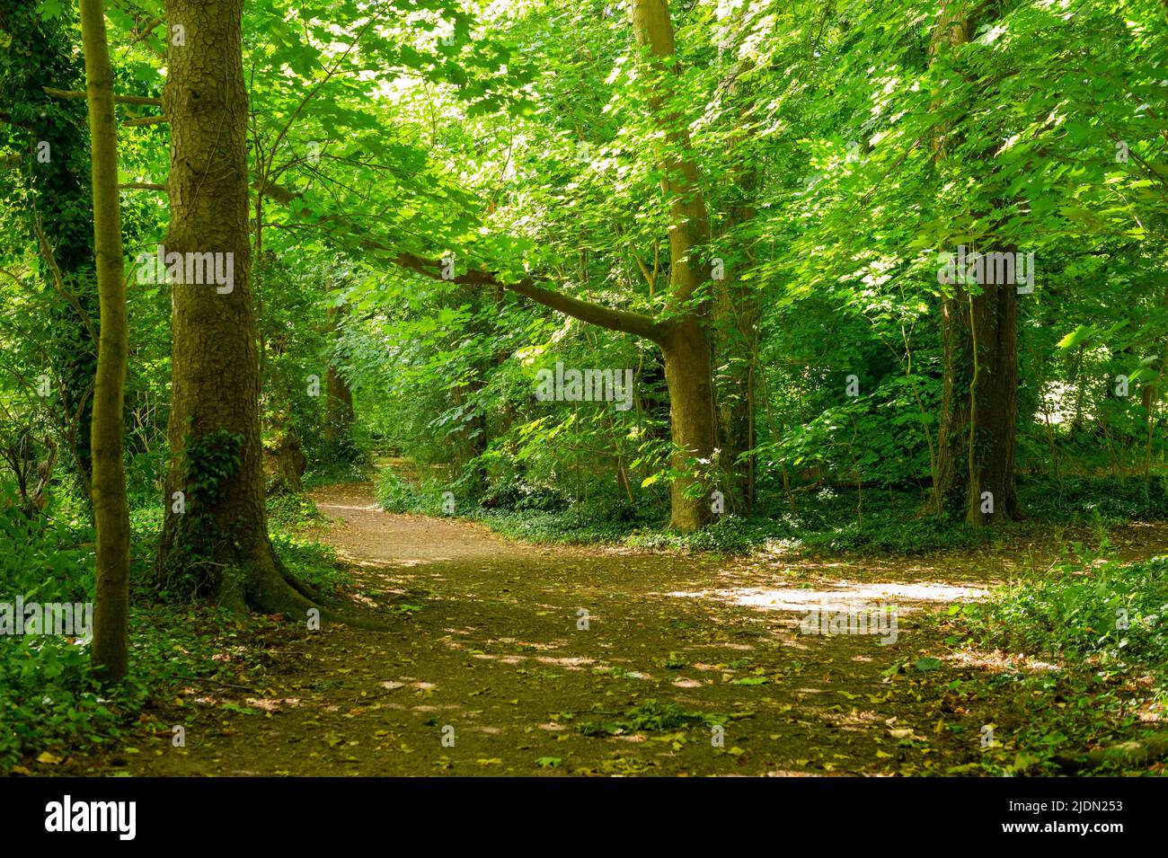 The English Countryside at Chalfont St Giles, Buckinghamshire, England Stock Photo