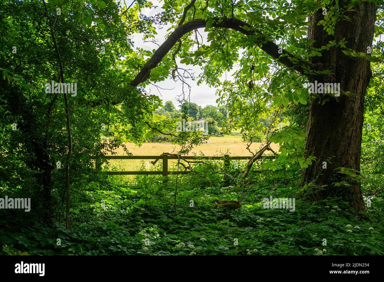 The English Countryside at Chalfont St Giles, Buckinghamshire, England Stock Photo