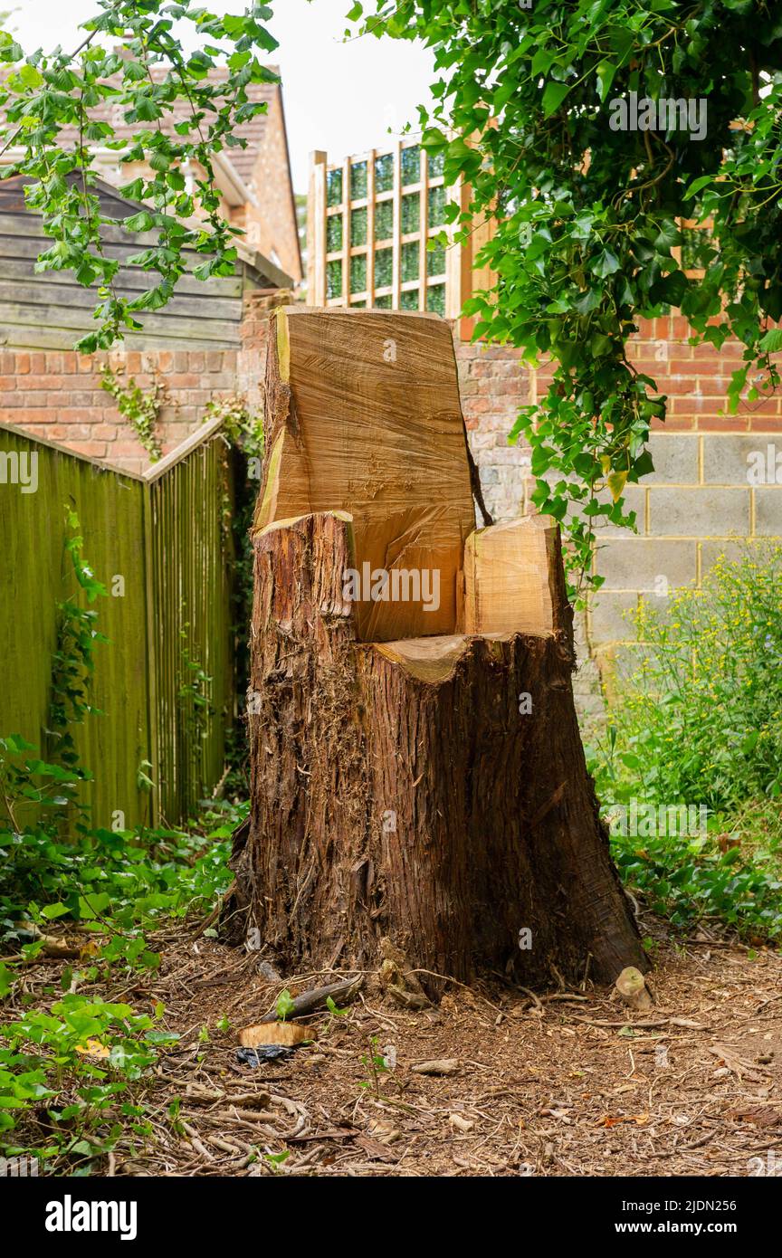 A seat carved from a tree trunk Stock Photo