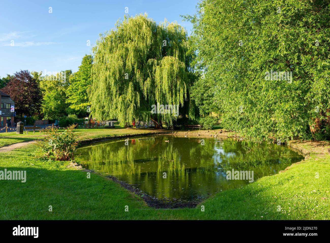 The Duck Pond at Sunset, Chalfont St Giles, Buckinghamshire, England Stock Photo