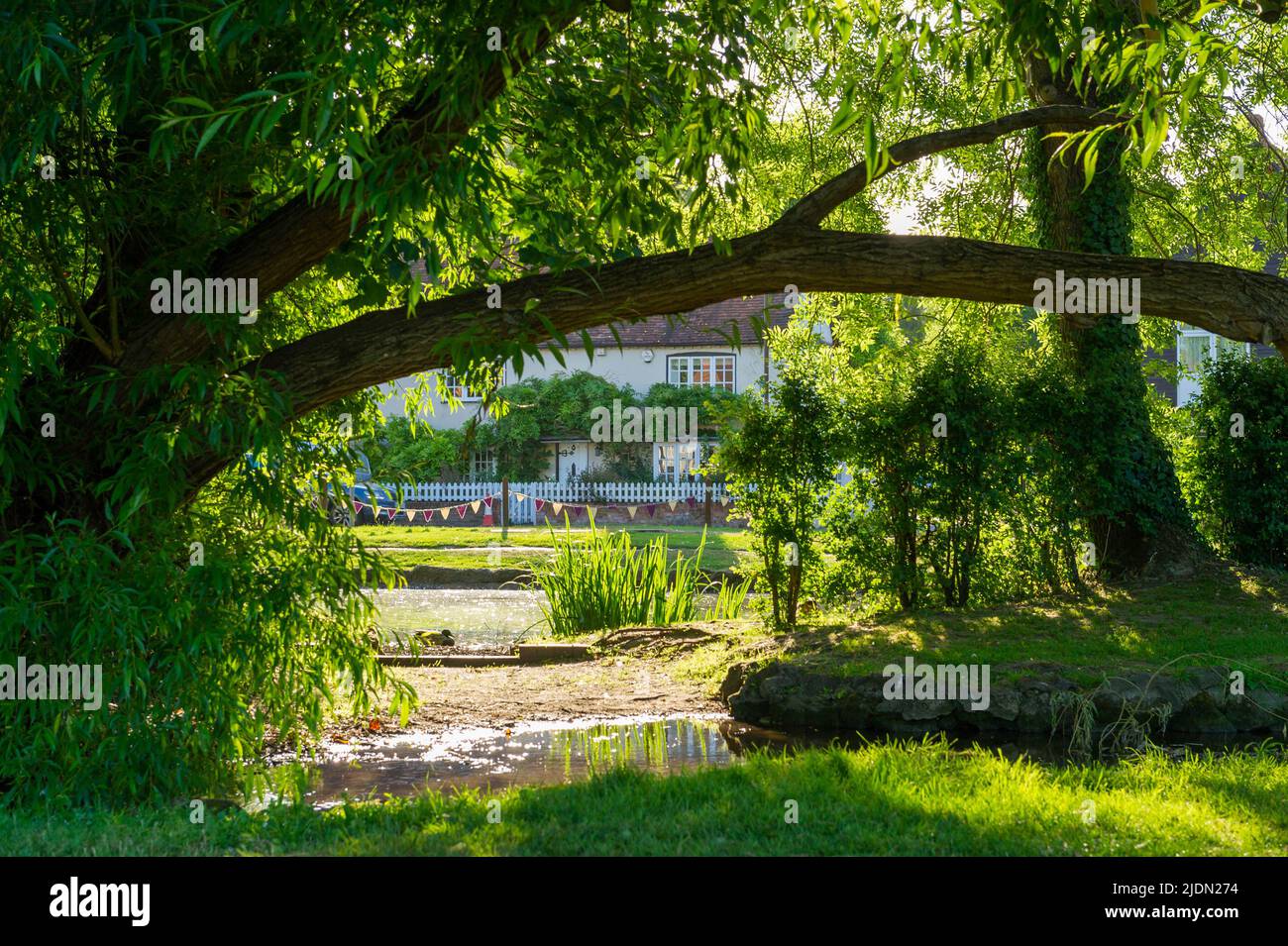 The River Misbourne feeding the duck pond at Chalfont St Giles