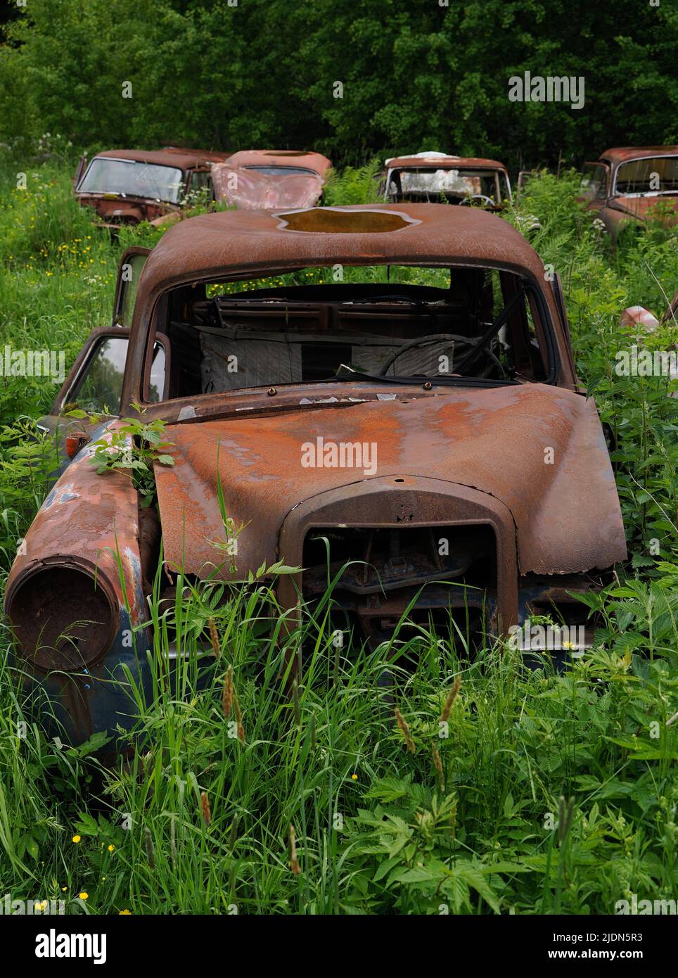 Car wrecks, old cars in Ivan´s Junkyard cementery in Båstnäs, southern