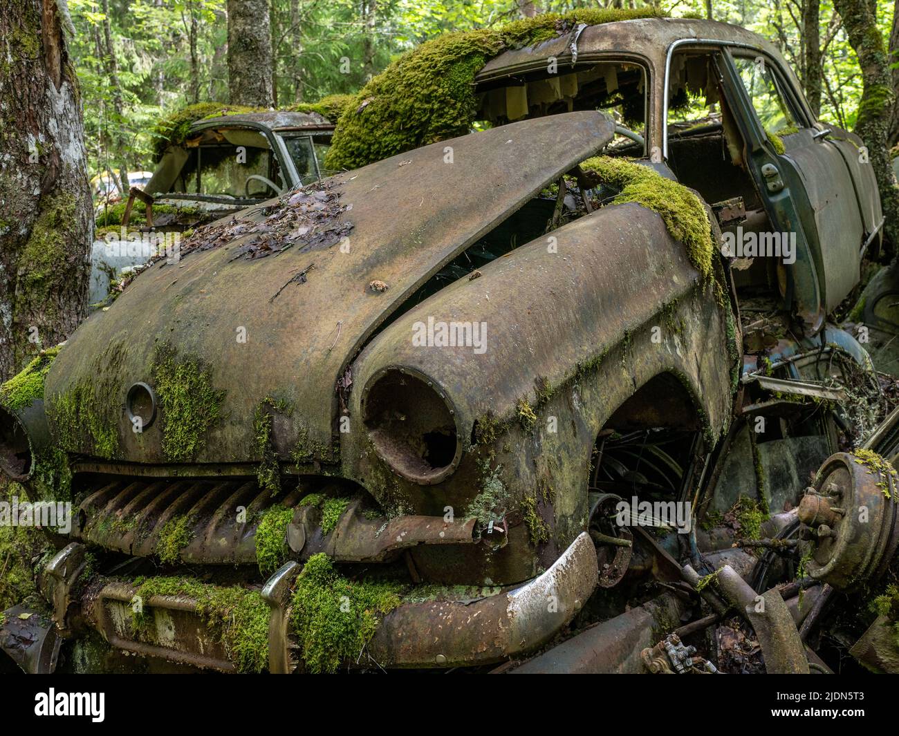 Car wrecks, old cars in Ivan´s Junkyard cementery in Båstnäs, southern
