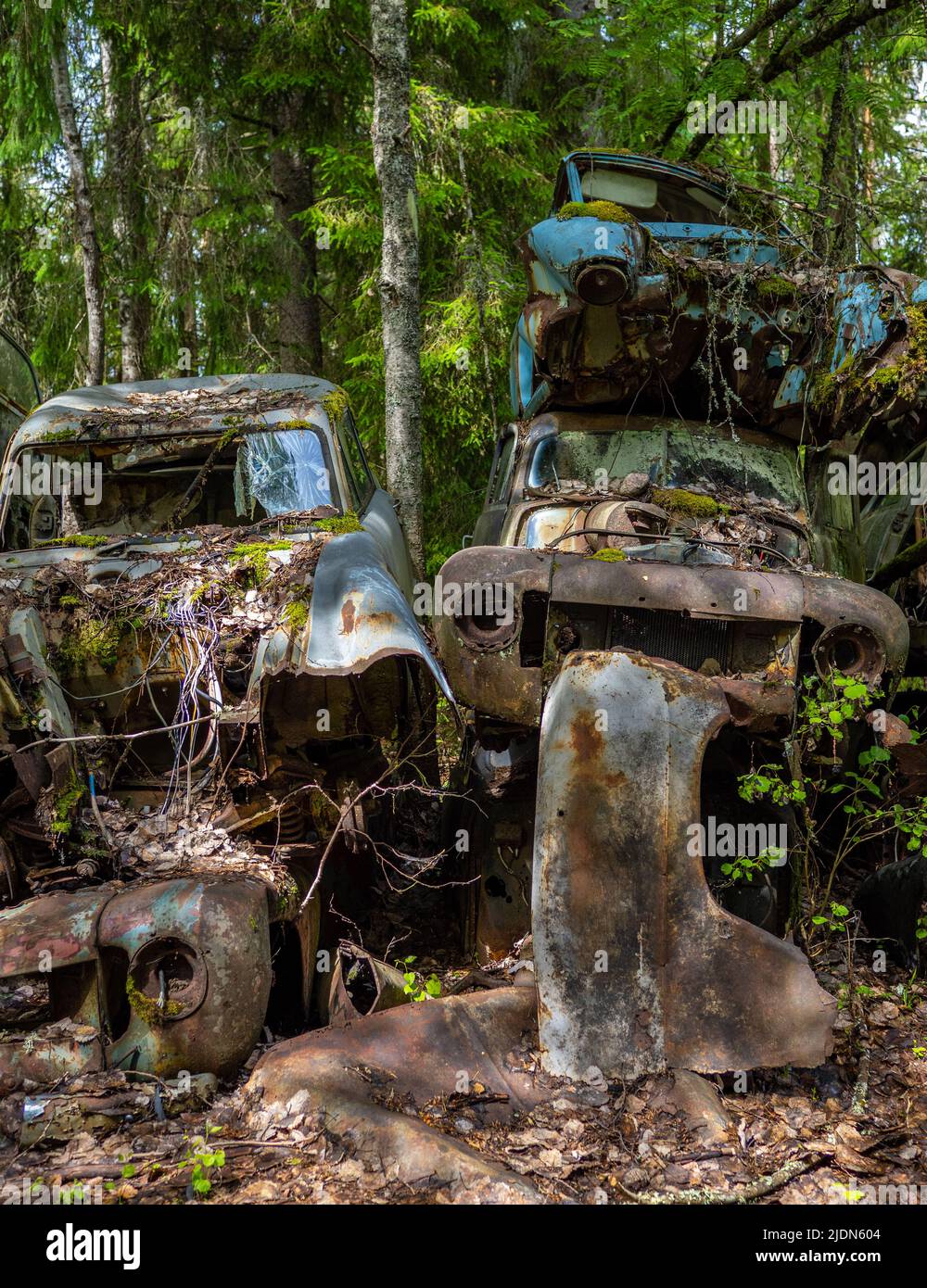 Car wrecks, old cars in Ivan´s Junkyard cementery in Båstnäs, southern