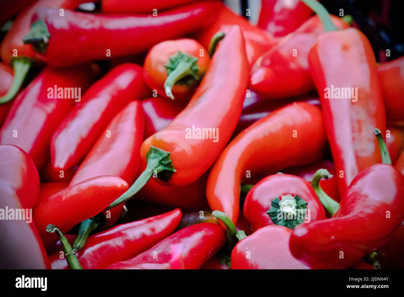 Hot chilli peppers on sale at Waddesdon Manor's annual chilli festival