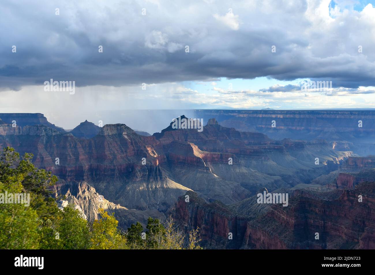 Rain shower over the North Rim of the Grand Canyon Stock Photo Alamy
