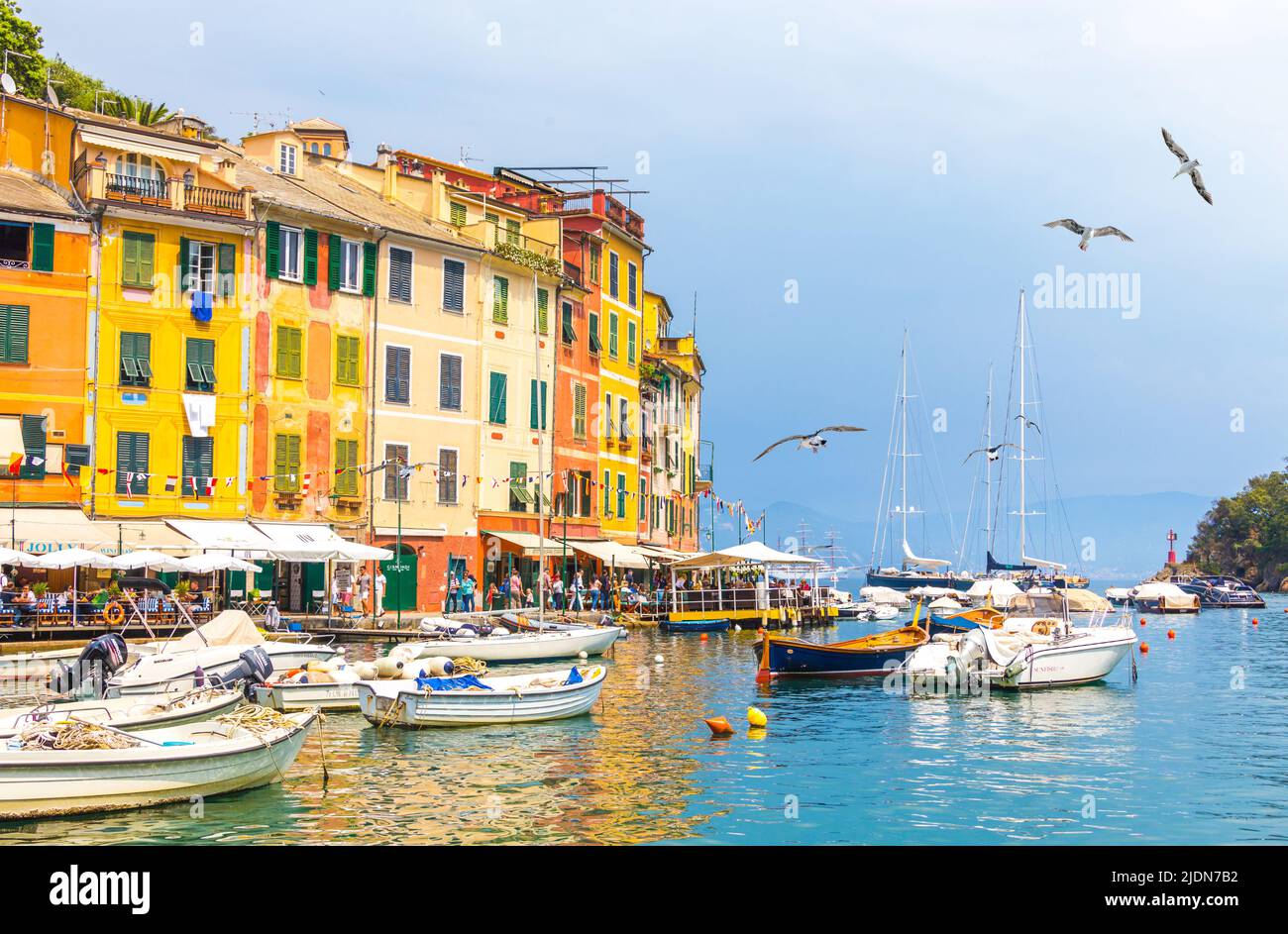 Portofino with colorful houses and villas in little bay harbor. Liguria