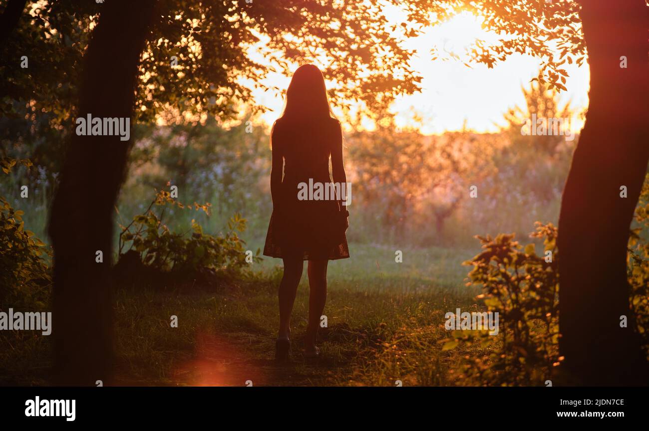 Rear view of young woman in walking alone through dark woods at bright ...