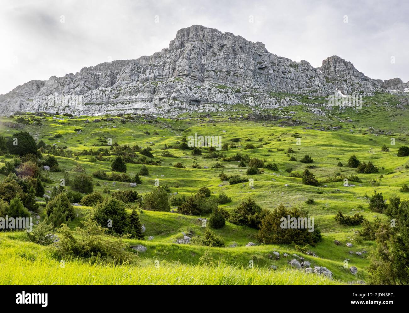 Alpine pasture and Juniper trees below the steep cliifs of Mount Tymphi in the Zagori region of Northern Greece Stock Photo