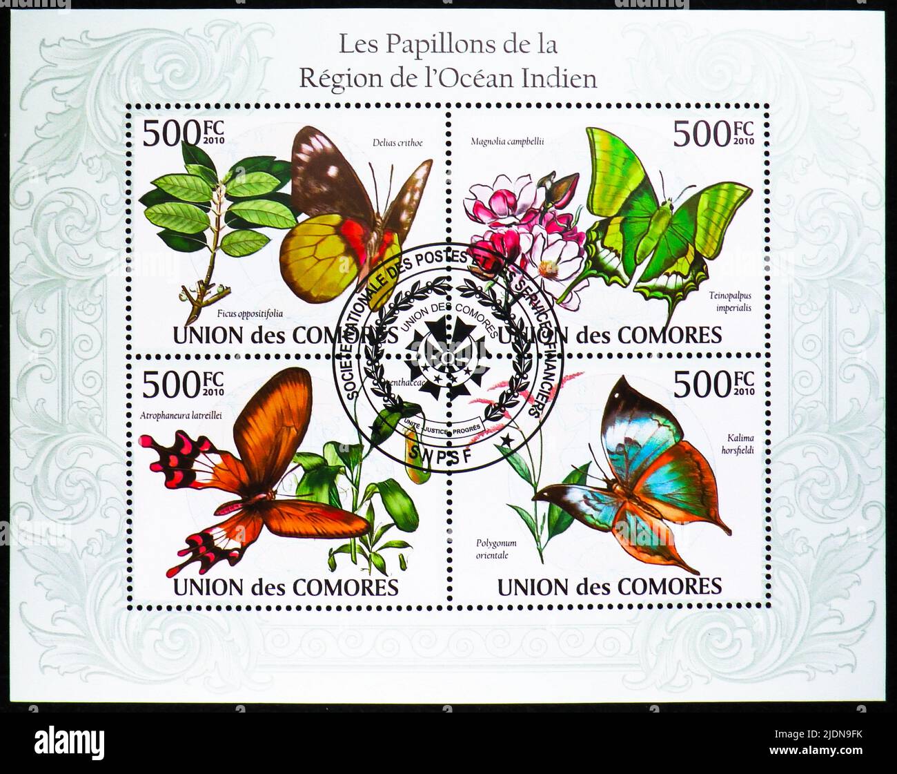 MOSCOW, RUSSIA - JUNE 17, 2022: Postage stamp printed in Comoros shows Block: Dellias crithoe, Tienopalpus imperialis, Kalima hosfieldi, Atrophaneura Stock Photo
