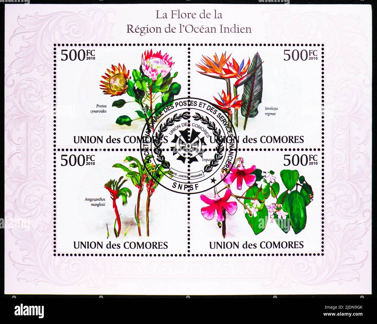 MOSCOW, RUSSIA - JUNE 17, 2022: Postage stamp printed in Comoros shows Block: Protea cynaroides, Strelizia reginae, Impatien, Anigozanthos manglesii, Stock Photo