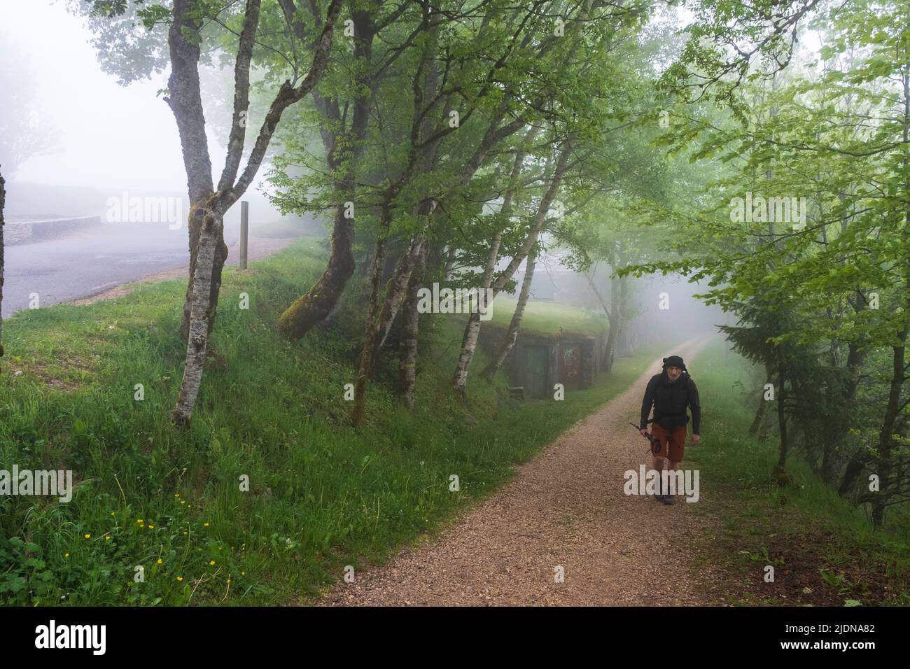 Spain, Galicia. Hiker Approaching O Cebreiro on a Foggy Morning. First Village in Galicia on the Camino de Santiago, Camino Frances, Pilgrims Way. Stock Photo