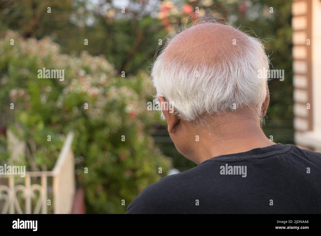 White haired unidentified senior male looking down from top with back pose Stock Photo