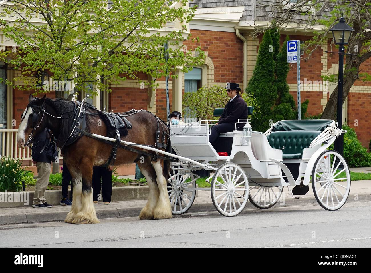 Horse-drawn carriage, Niagara-on-the-Lake, Niagara Peninsula, Ontario province, Canada, North America Stock Photo