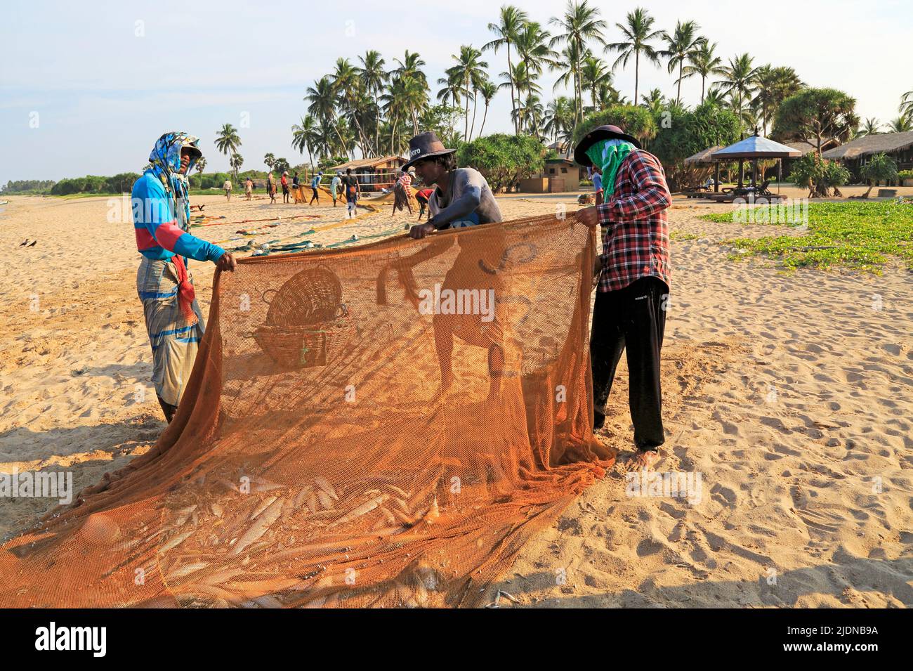 Traditional fishing hauling nets Nilavelli beach , near