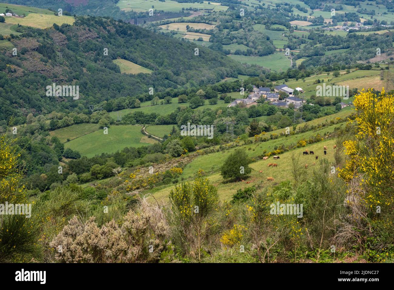 Spain, Galicia. Landscape along  the Trail between O Cebreiro and Triacastela. Stock Photo
