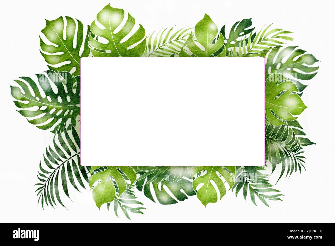 natural frame watercolor background in green with leaf border on white Stock Photo