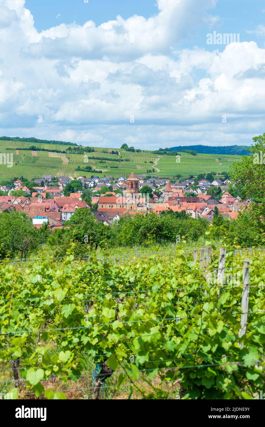 European Medieval Rural Area Rural country medieval hi-res stock photography and images - Alamy