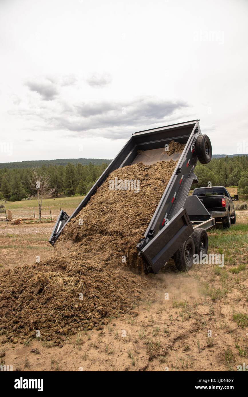 An Iron Bull Trailer dumps a long pile horse manure for fertilizer on a ranch in Northern New Mexico. Stock Photo