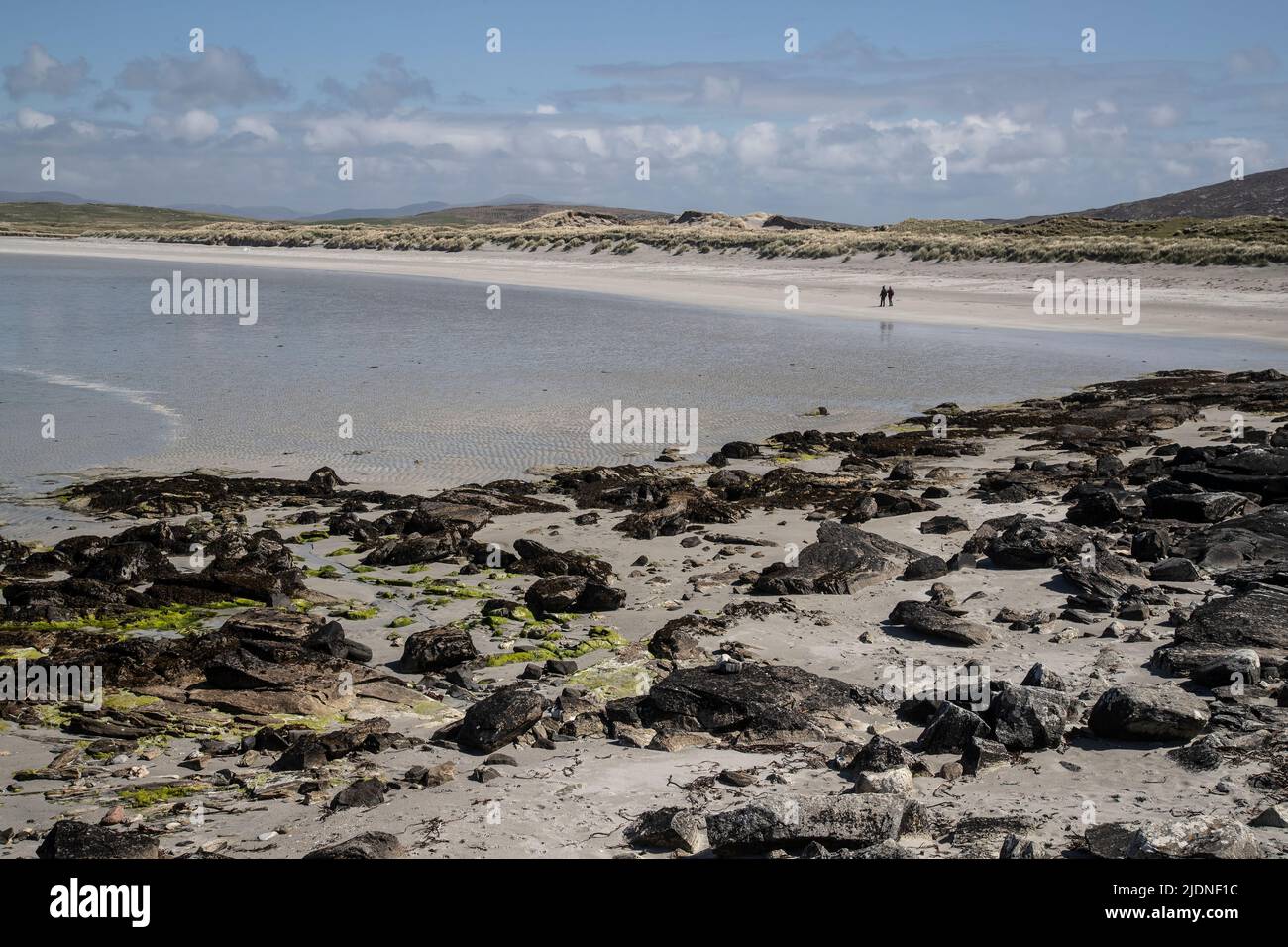 A couple in the distance walking beyond the rocks and seaweed on the white sands of Clachan Sands In North Uist, Outer Hebrides Stock Photo