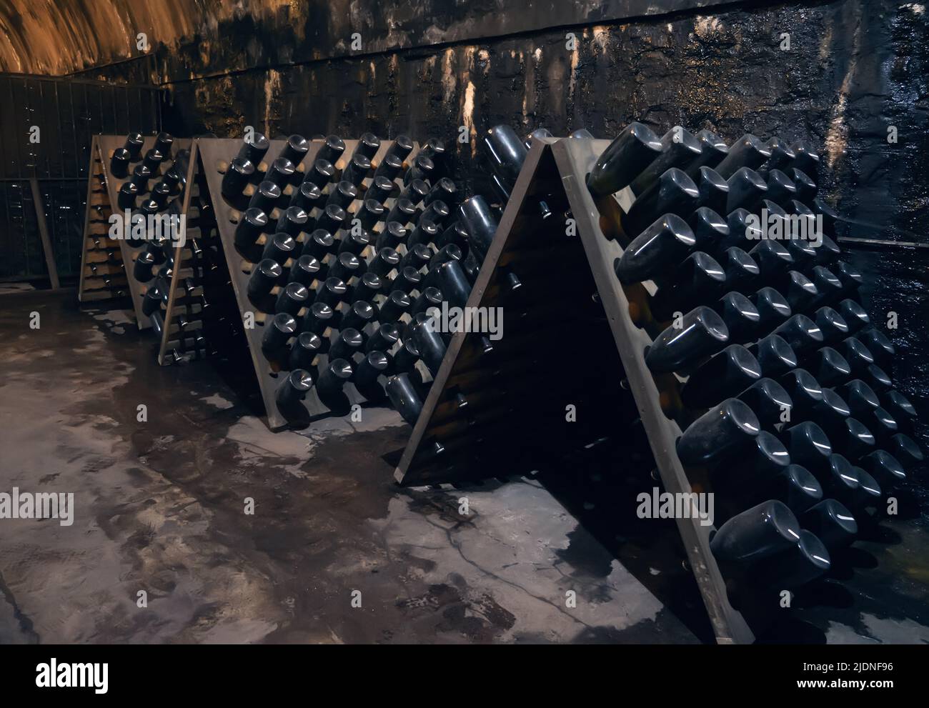 Old wine bottles covered with dust in winecellar close up. Stock Photo