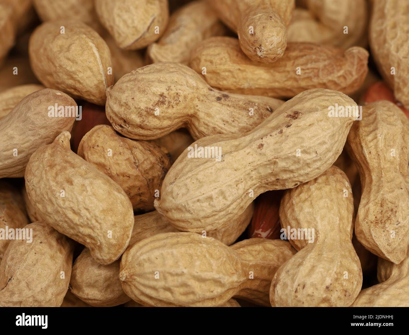 close up of peanuts with shell, dry roasted and unshelled nuts as healthy snack Stock Photo