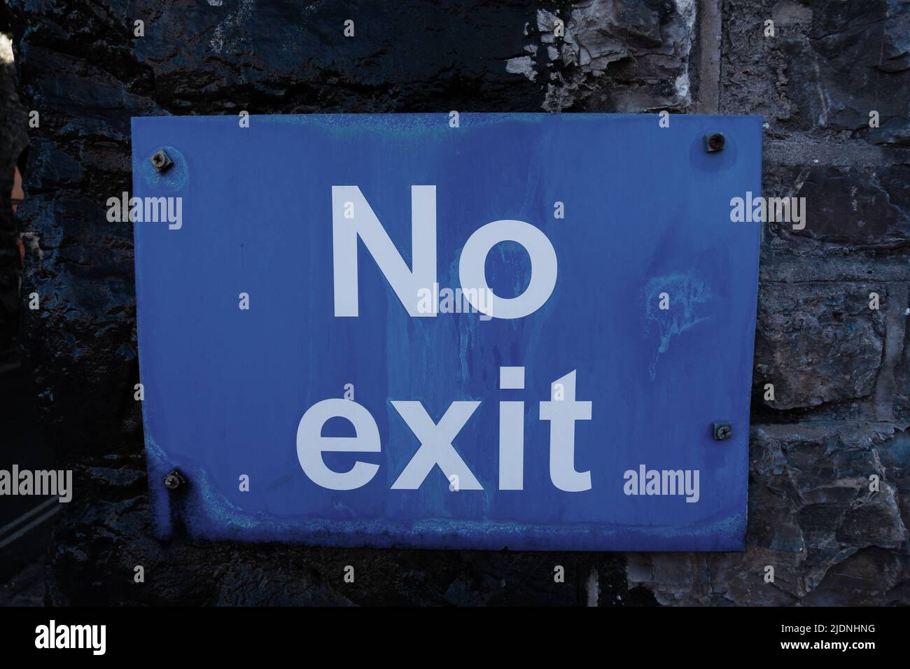 No Exit sign in white lettering on blue background fixed to a brick