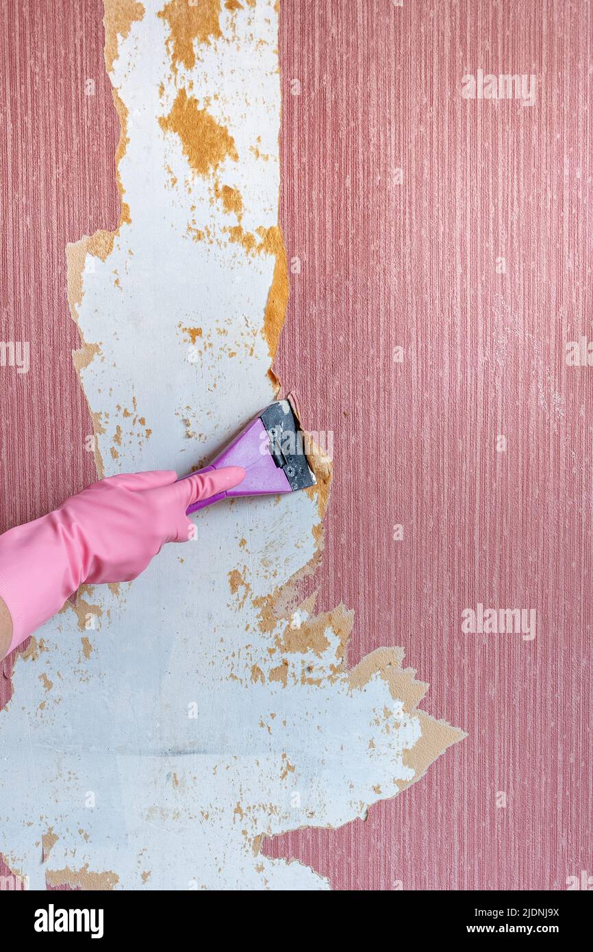 Interior renovation works. Peel off wallpaper Stock Photo Alamy