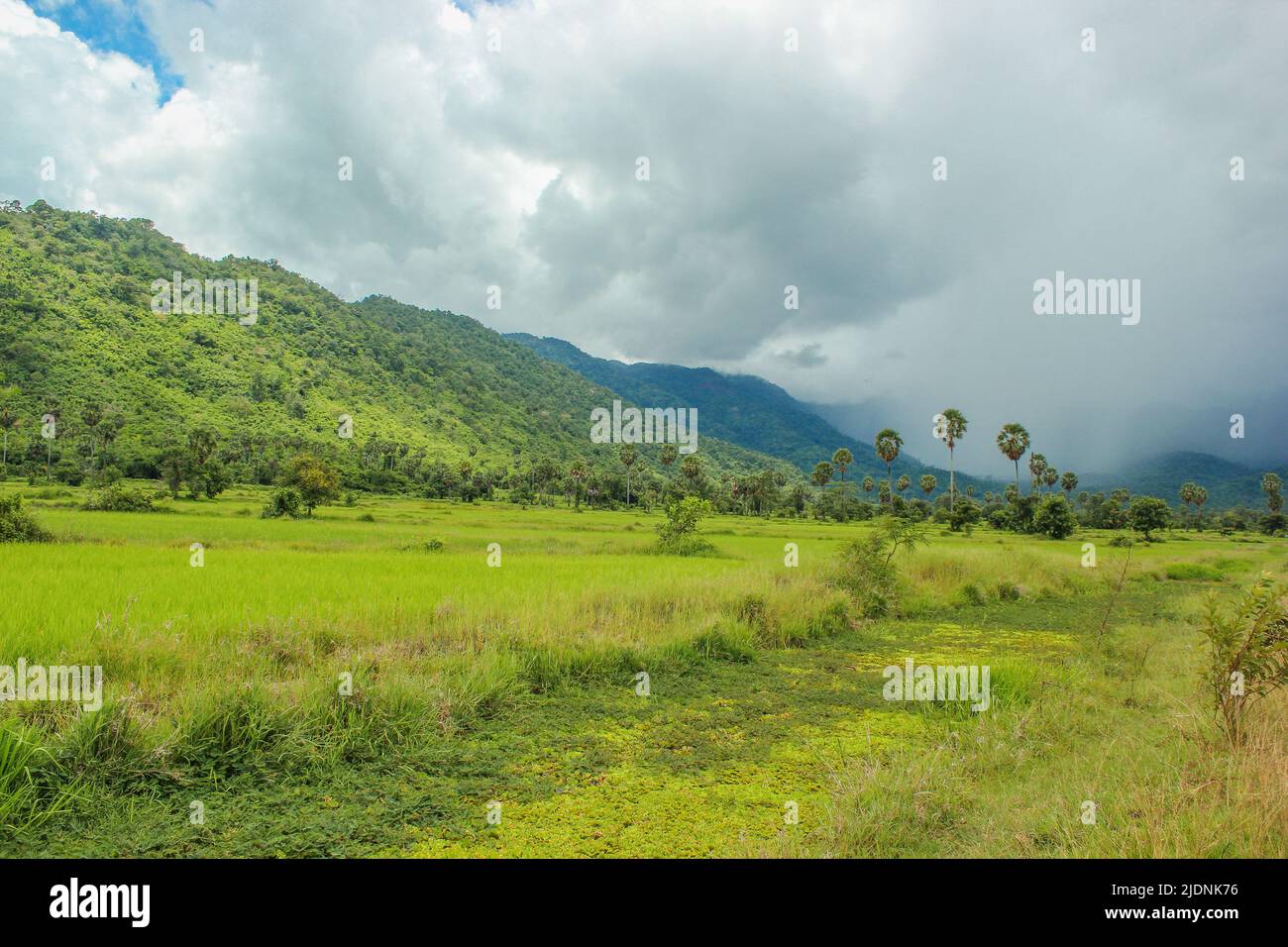 Rural life in Cambodia Stock Photo Alamy