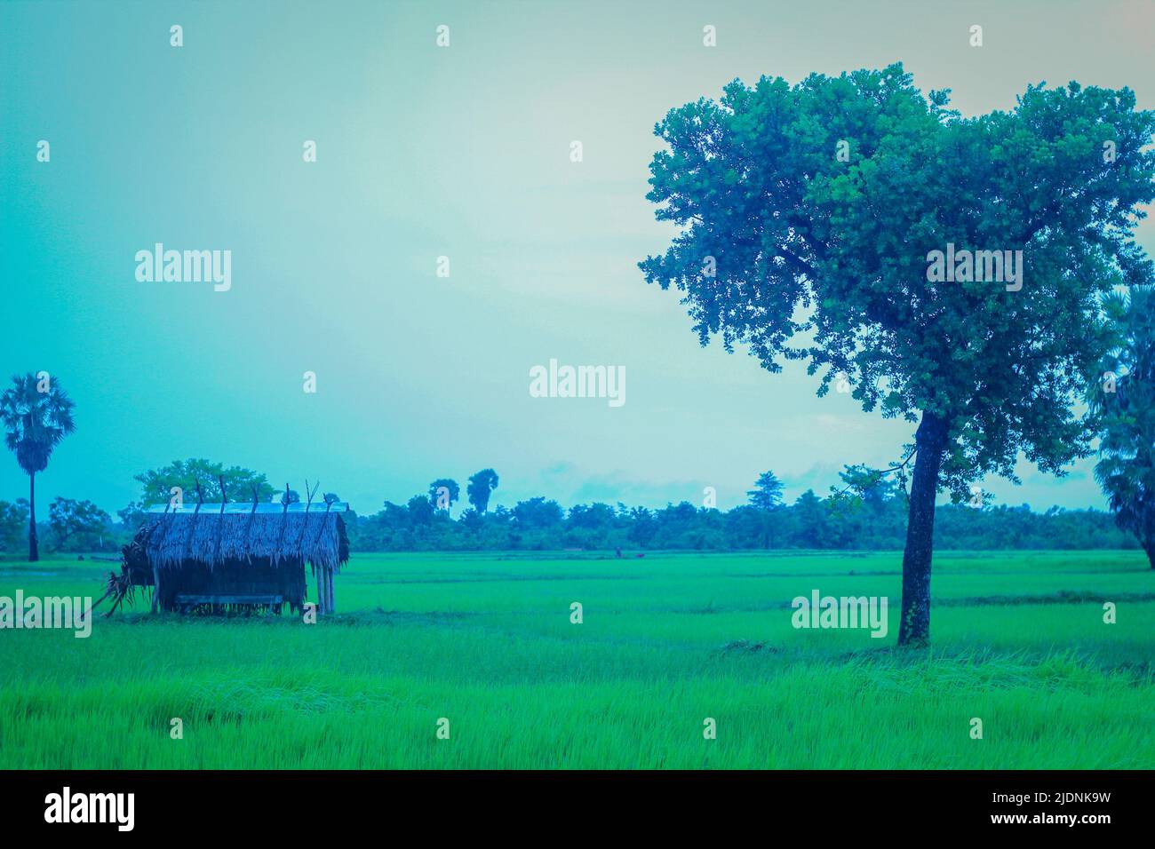 Rural life in Cambodia Stock Photo Alamy