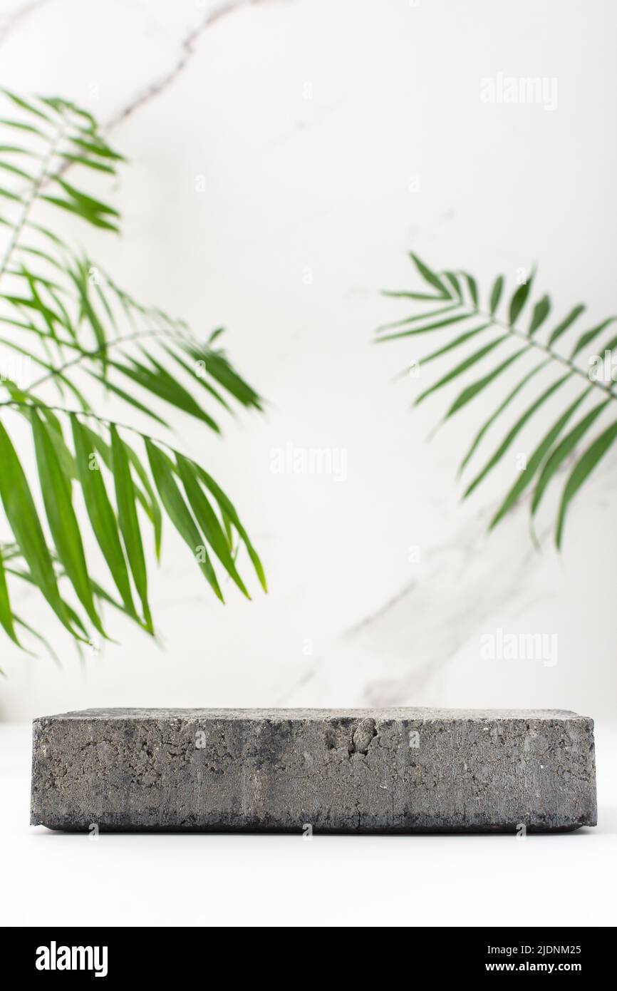 Concrete black podium for cosmetic products close-up among tropical leaves on the background of a marble white wall Stock Photo