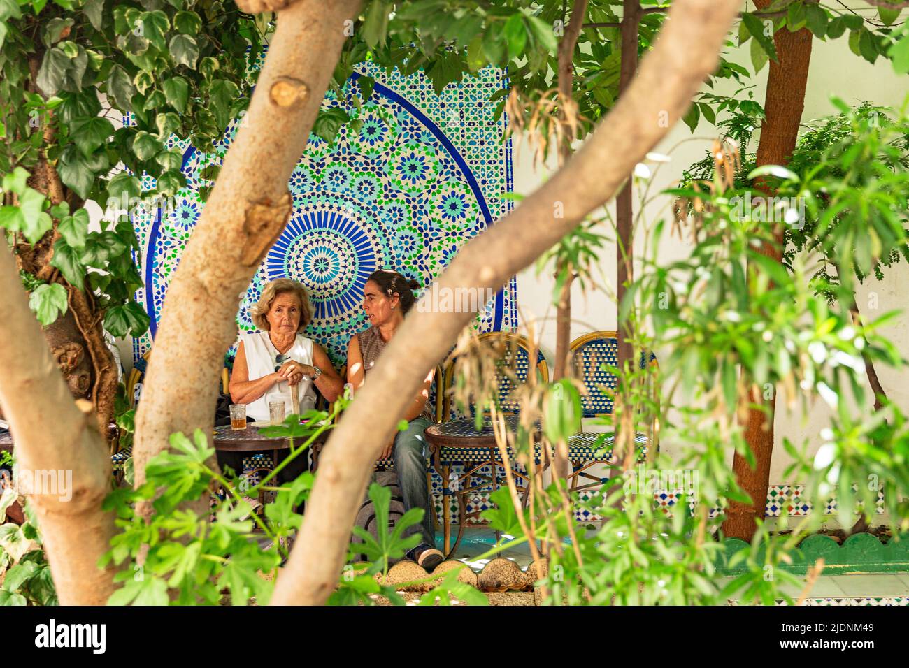 Great Mosque of Paris cafe patrons sit at small tables in the shade of fig trees Stock Photo