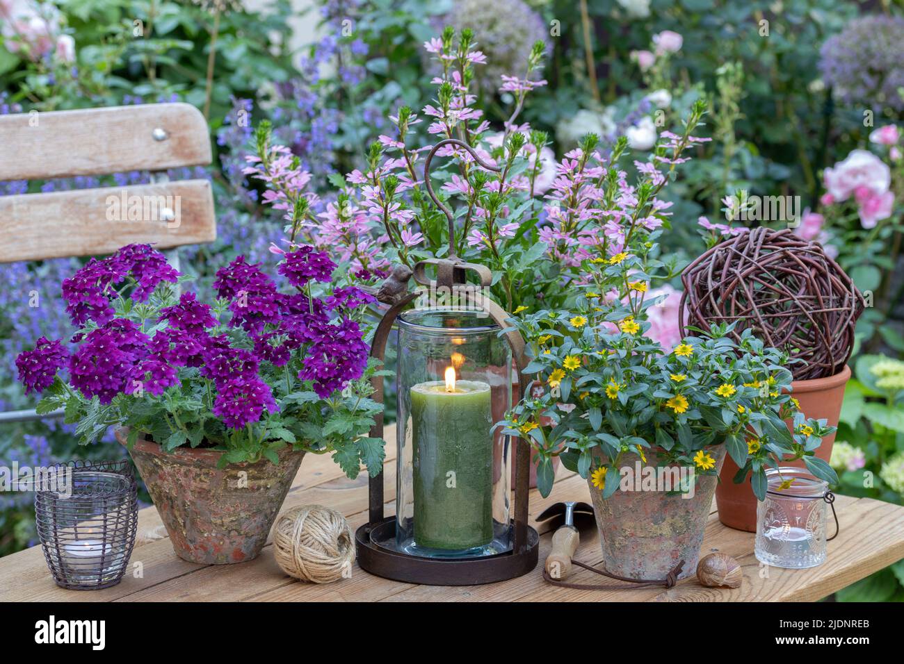 summer garden decoration with flowers in terracotta pots and lantern Stock Photo
