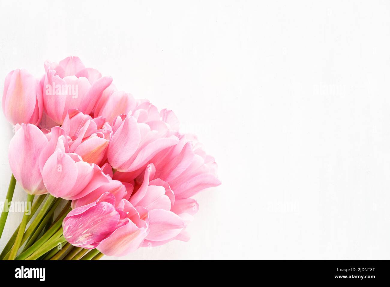 Pink tulips bouquet on a white background. Mother's day, Valentines Day, Birthday celebration concept. Greeting card. Copy space for text, top view Stock Photo
