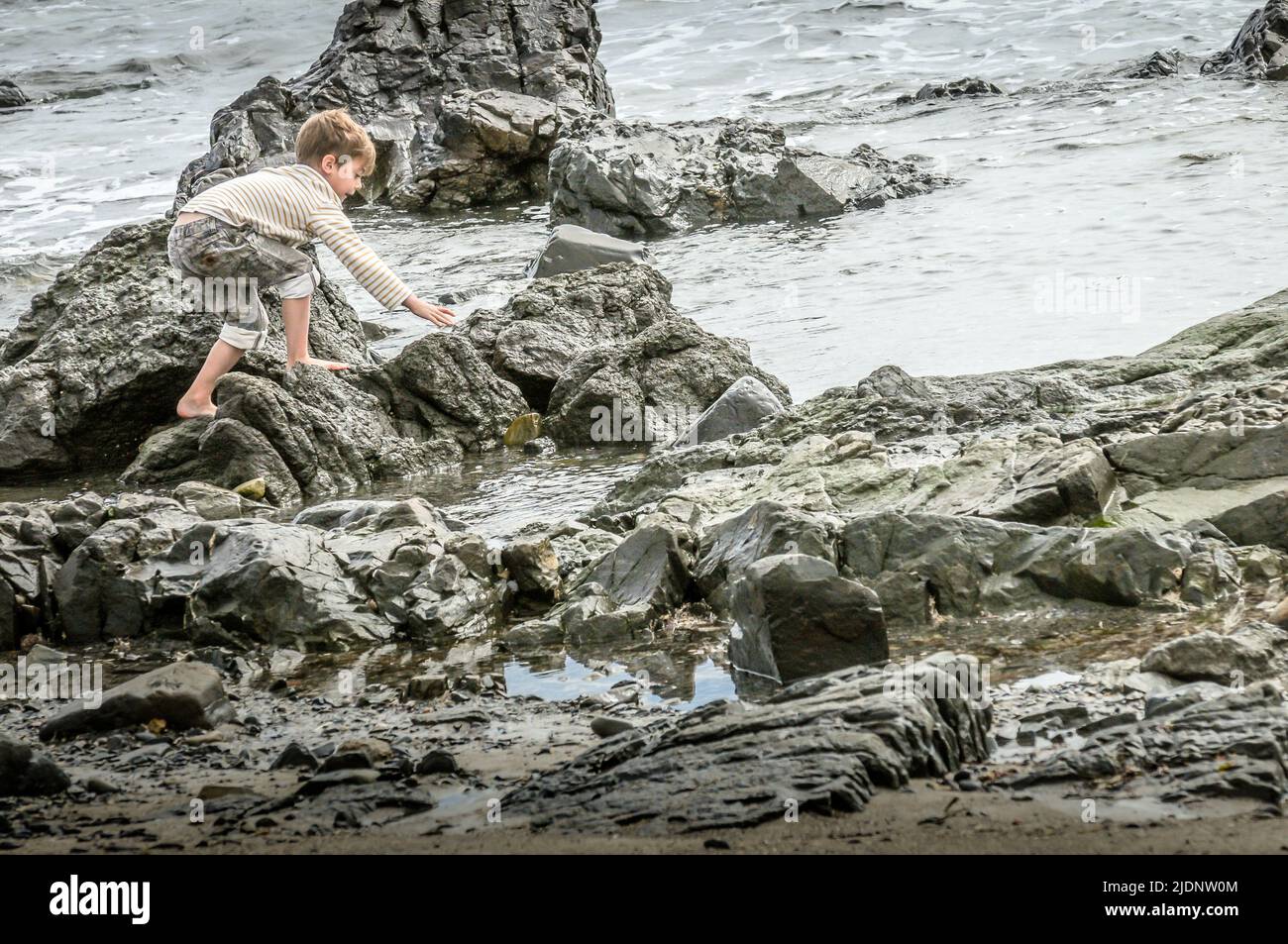 A small boy has fun playing on the rocks. Rocks, and water always makes a great play place. but reaching to far while standing on these slippy rocks. Stock Photo