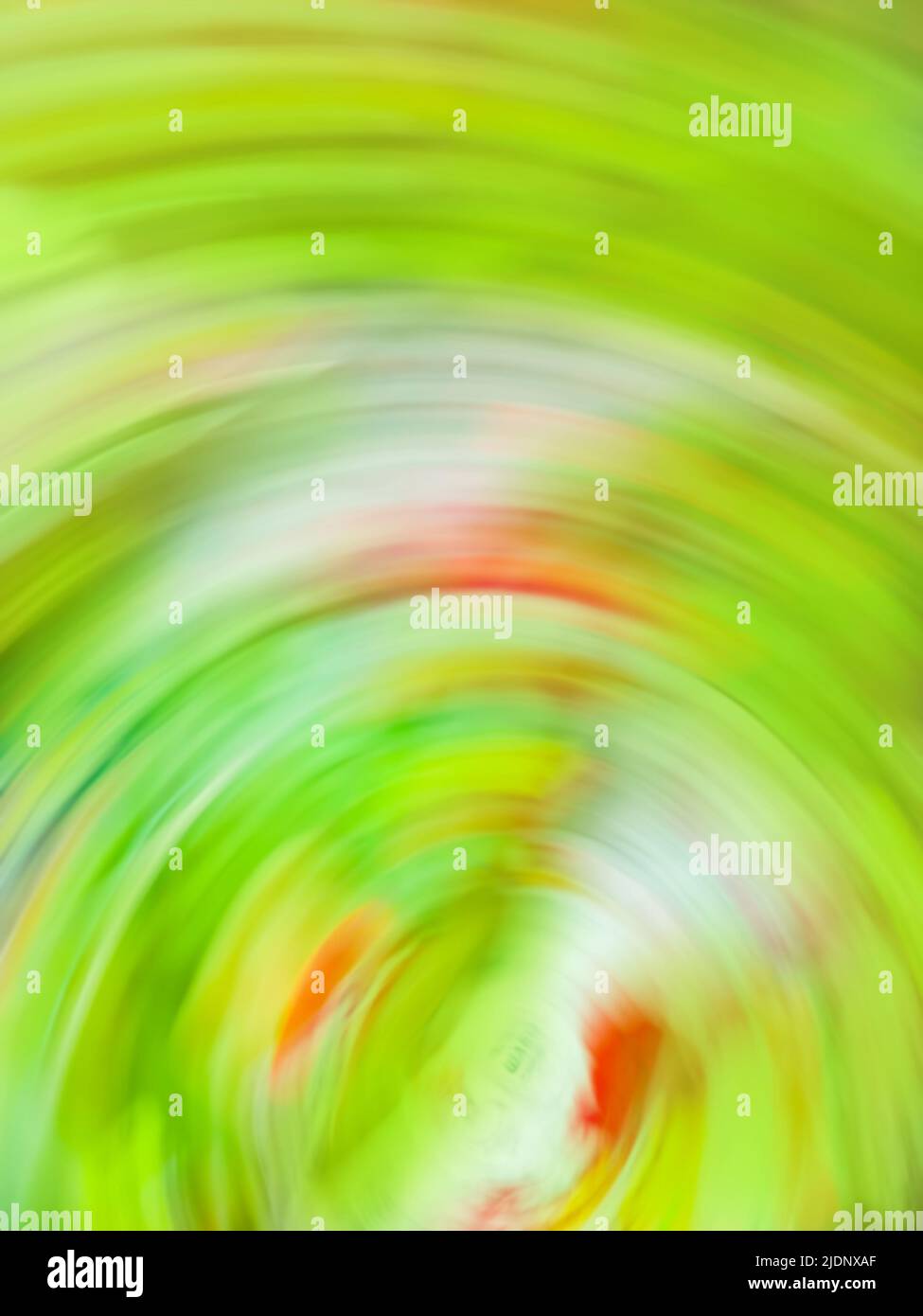 Circular pattern in nature hires stock photography and images Alamy