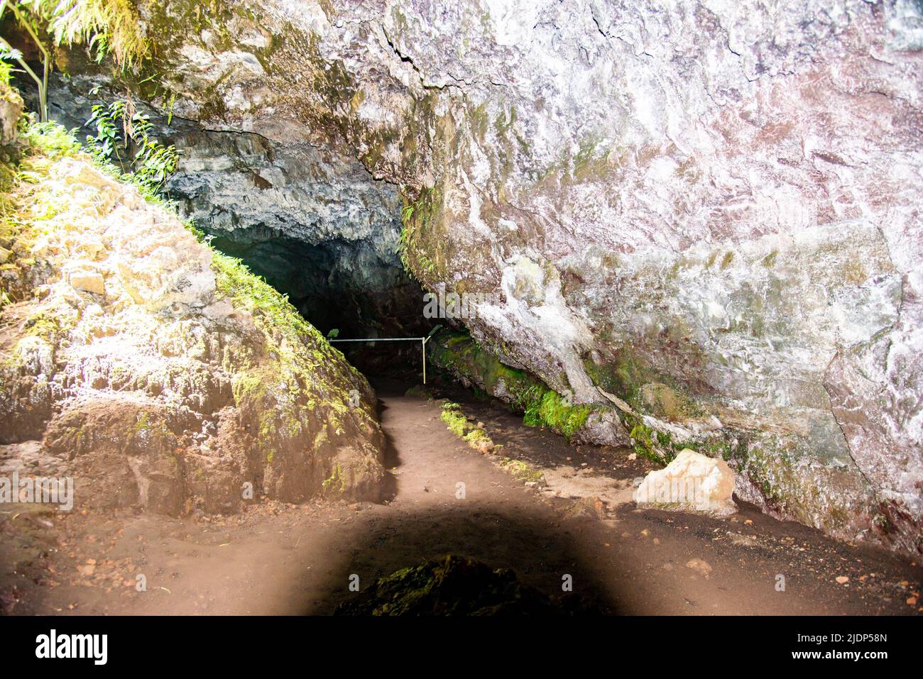 Lava tubes on the island of Maui, Hawaii Stock Photo - Alamy