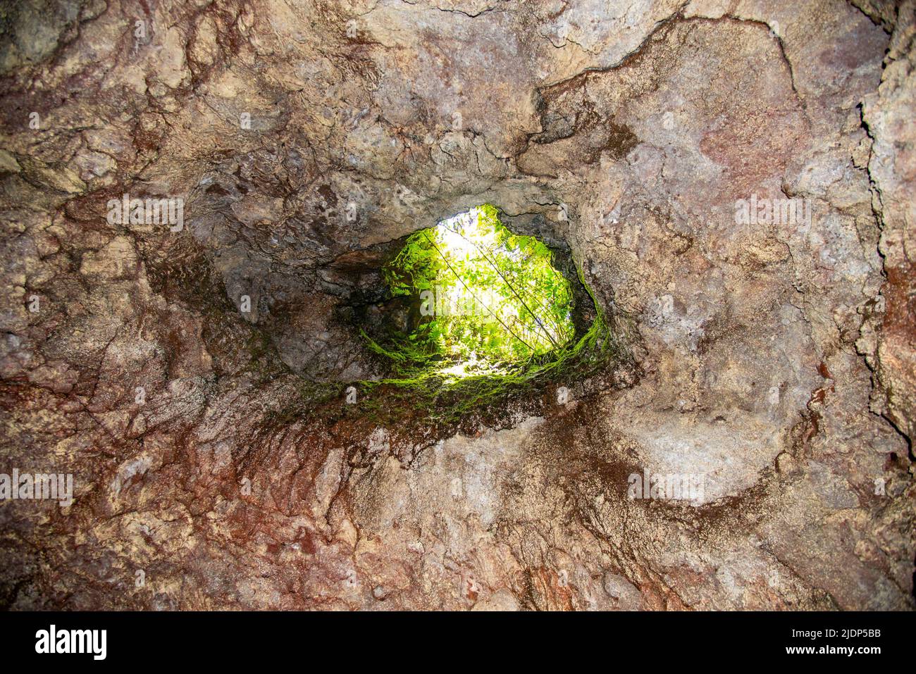Lava tubes on the island of Maui, Hawaii Stock Photo - Alamy