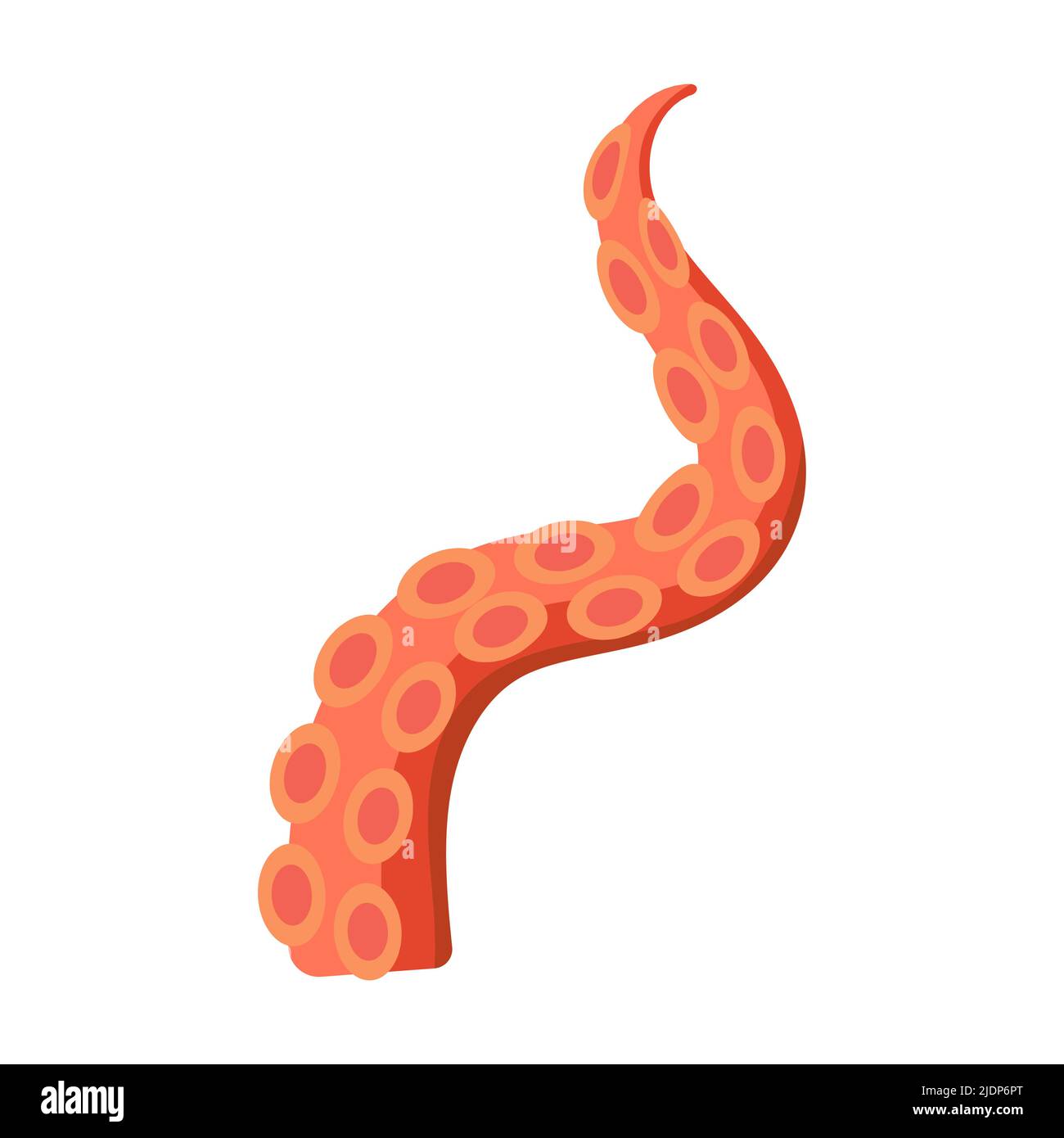 Octopus tentacle vector giant illustration monster sea creature ...
