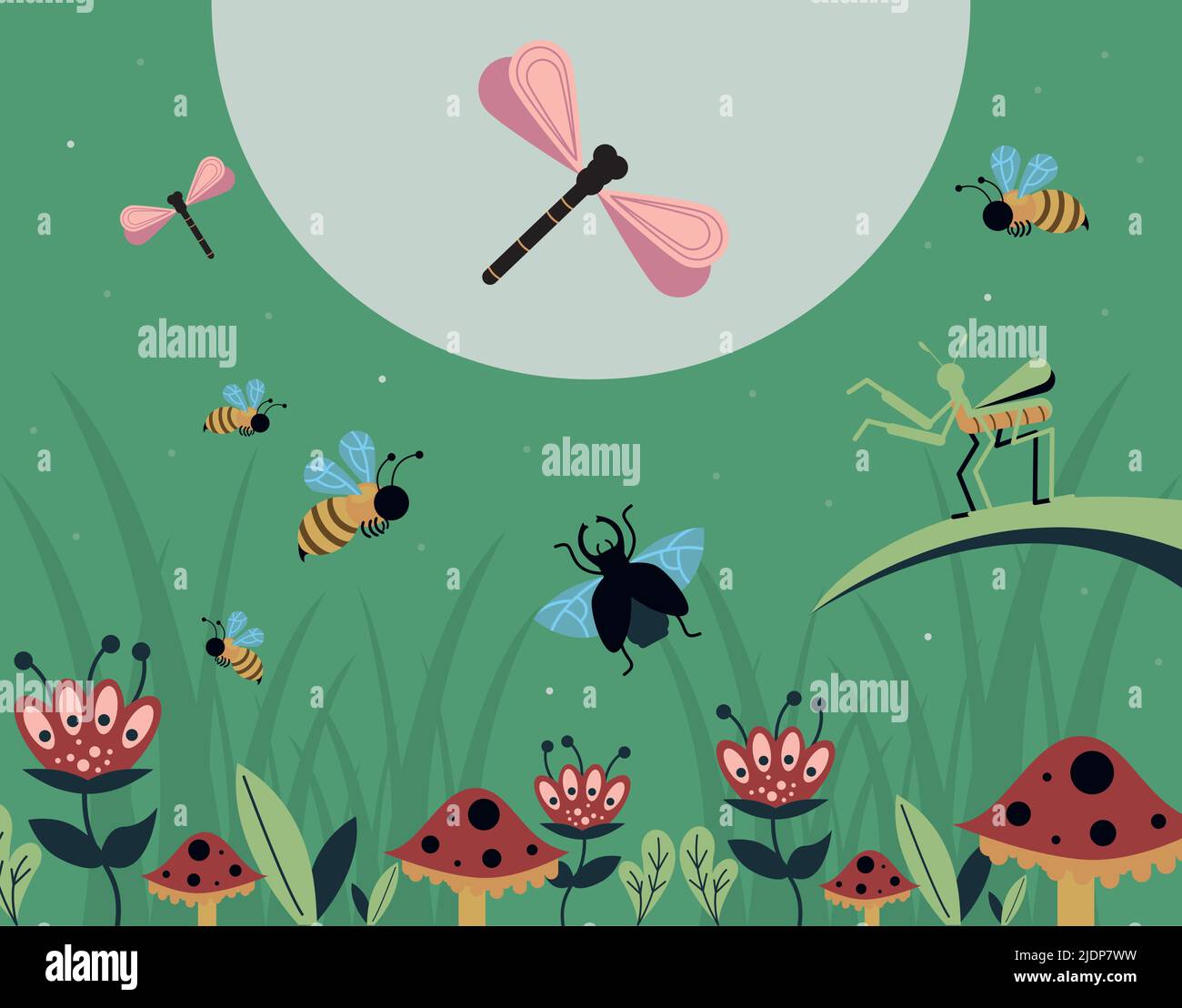 Insects dragonflies with nature and wild animals Stock Vector Images ...