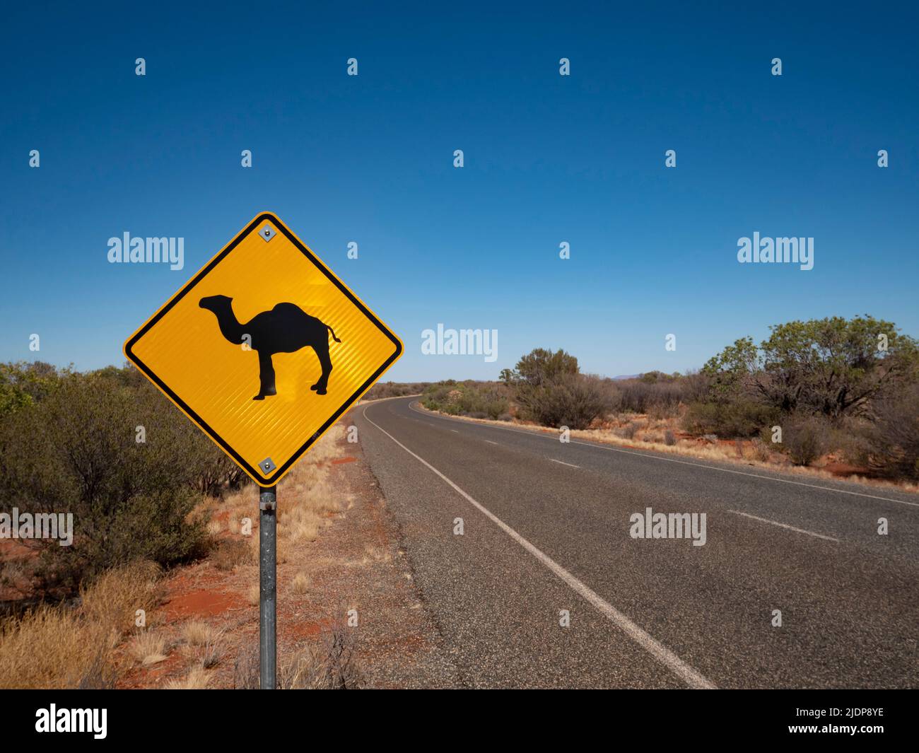 Camel warning traffic sign on the side of a central Autralia road in the Northern Territory.. Stock Photo