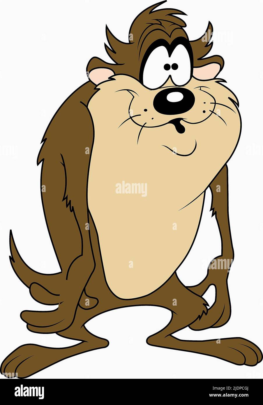 TAZ THE TASMANIAN DEVIL, TAZ-MANIA, 1991 Stock Photo