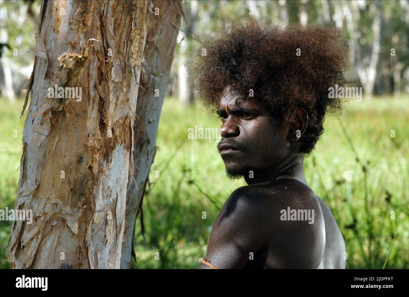 JAMIE GULPILIL, TEN CANOES, 2006 Stock Photo Alamy