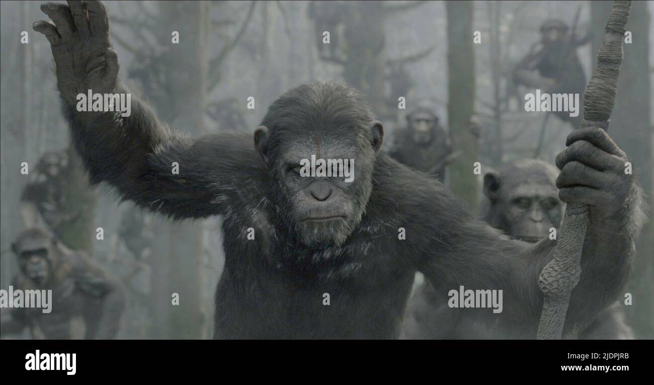 CAESAR, DAWN OF THE PLANET OF THE APES, 2014, Stock Photo