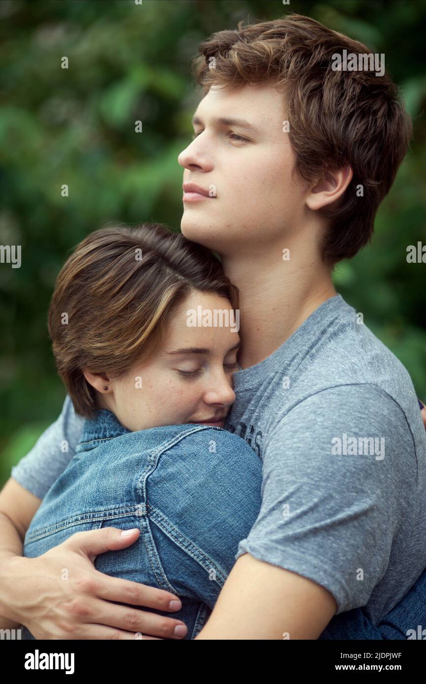 The Fault in Our Stars ペーパーバック