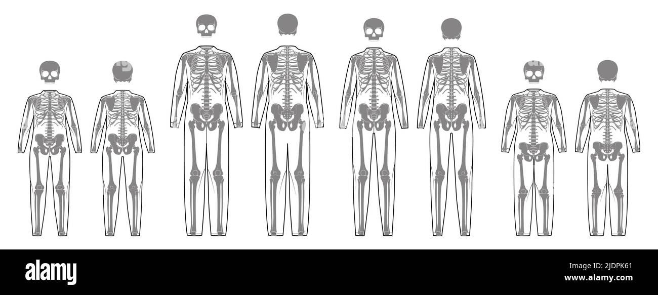Set of Skeleton costume Human bones with scull front back view men women, children - boy, girl for clothes for Day of the dead flat black color concept Vector illustration of anatomy isolated Stock Vector