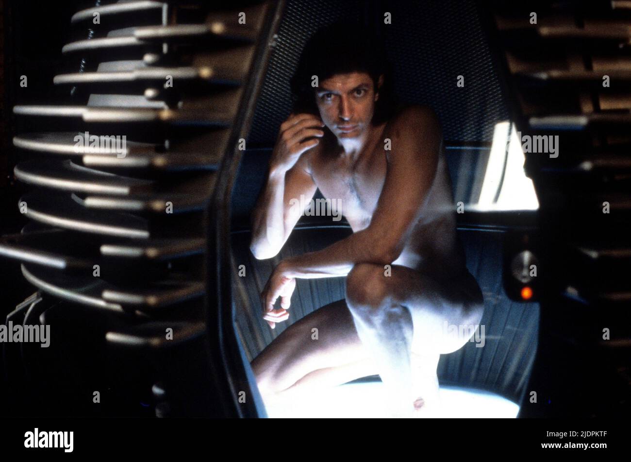 JEFF GOLDBLUM, THE FLY, 1986 Stock Photo