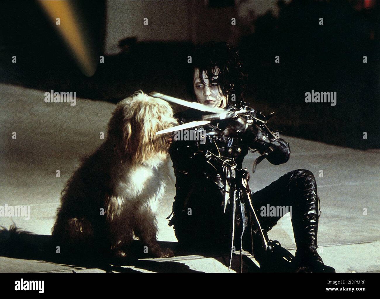 DEPP,DOG, EDWARD SCISSORHANDS, 1990 Stock Photo