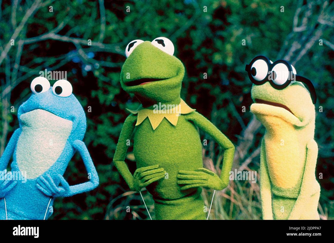 Kermit goggles kermits swamp years hires stock photography and images