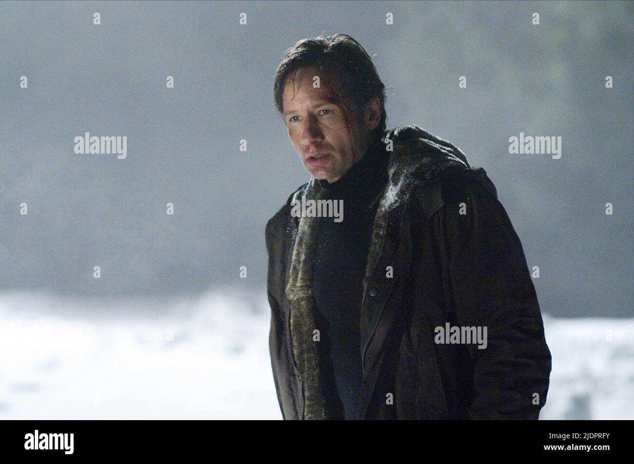 DAVID DUCHOVNY, THE X FILES: I WANT TO BELIEVE, 2008, Stock Photo